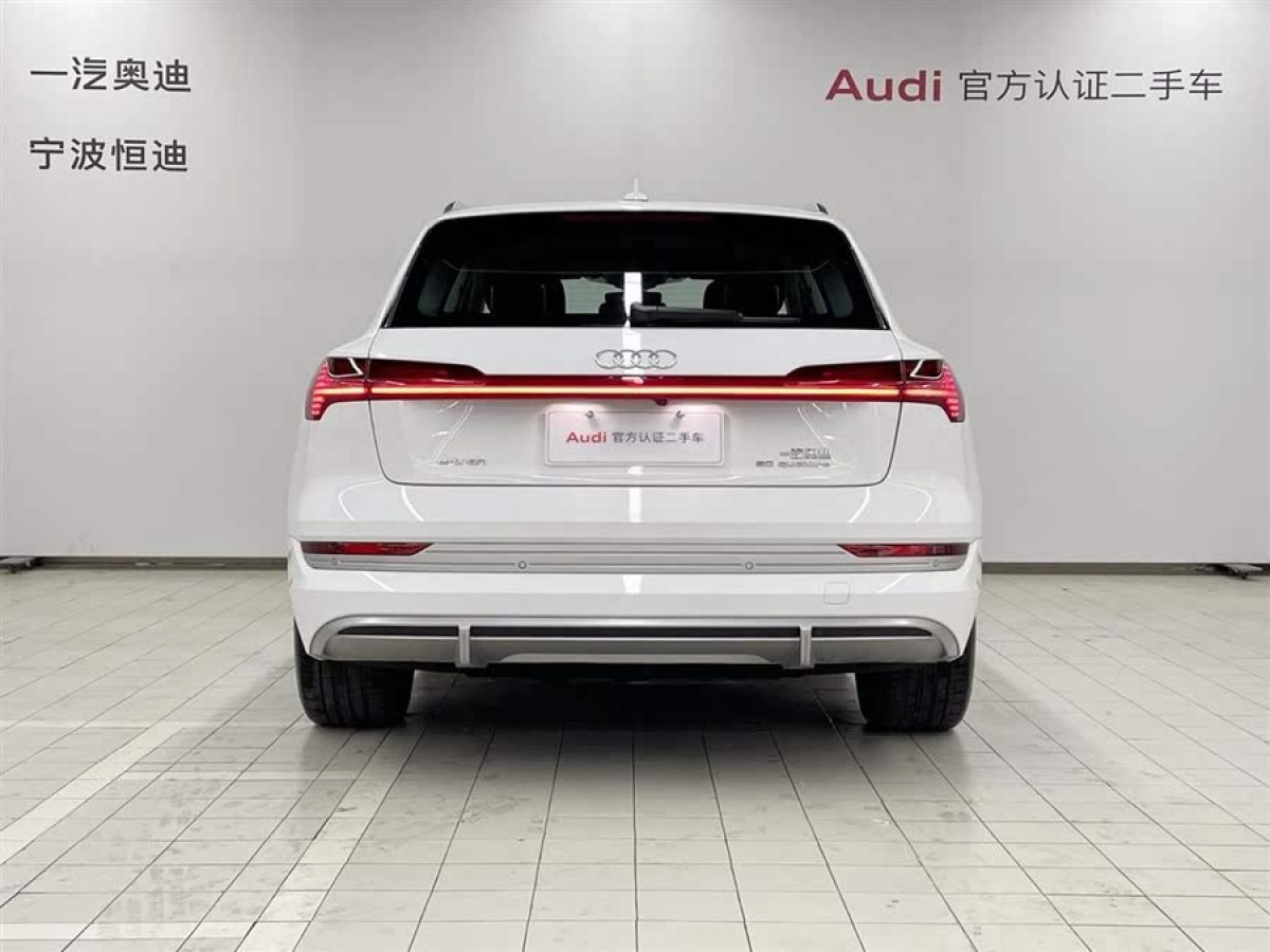 奧迪 奧迪e-tron  2021款 50 quattro 臻選型圖片