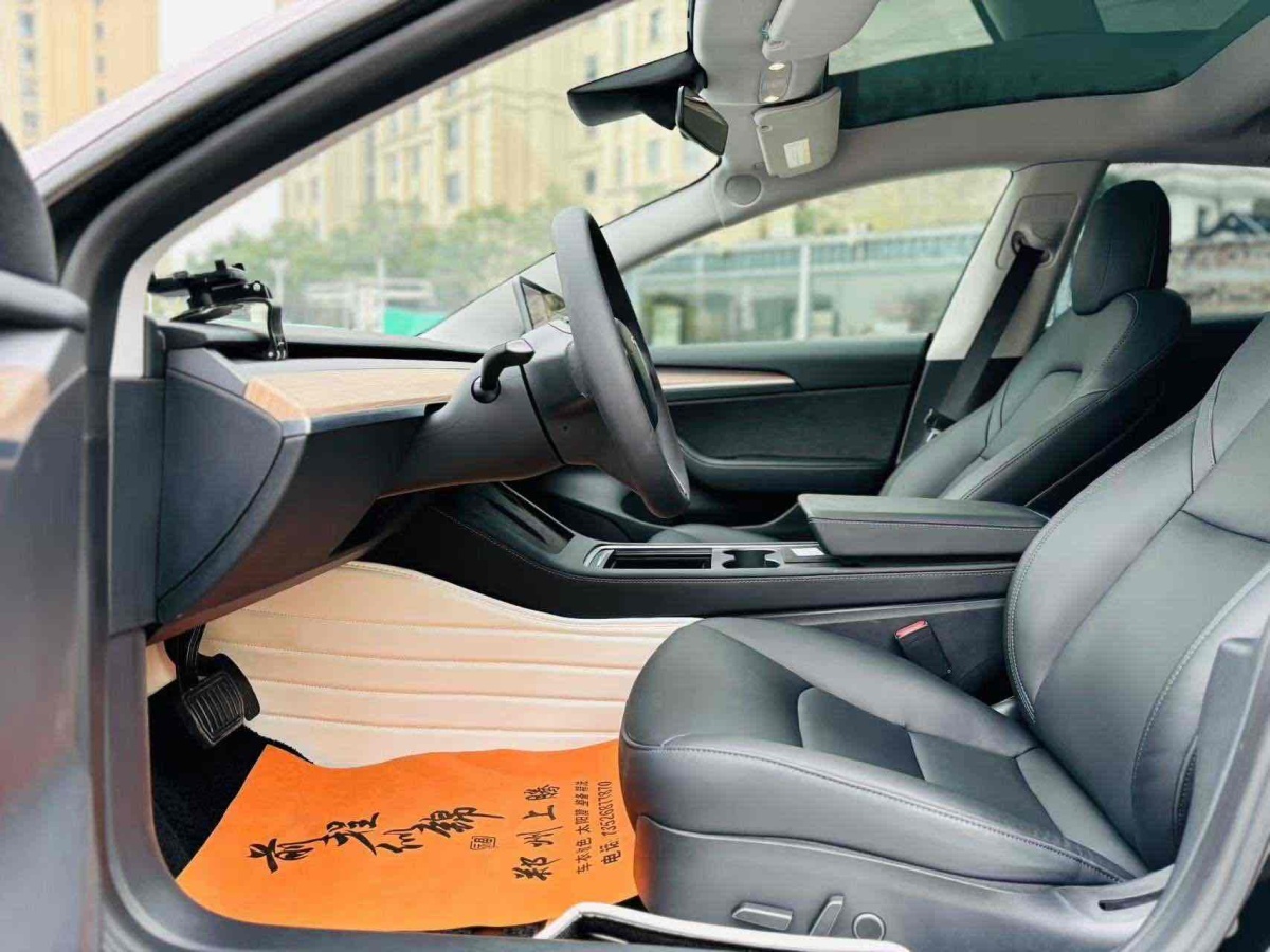 特斯拉 Model 3  2019款 標(biāo)準(zhǔn)續(xù)航后驅(qū)升級版圖片