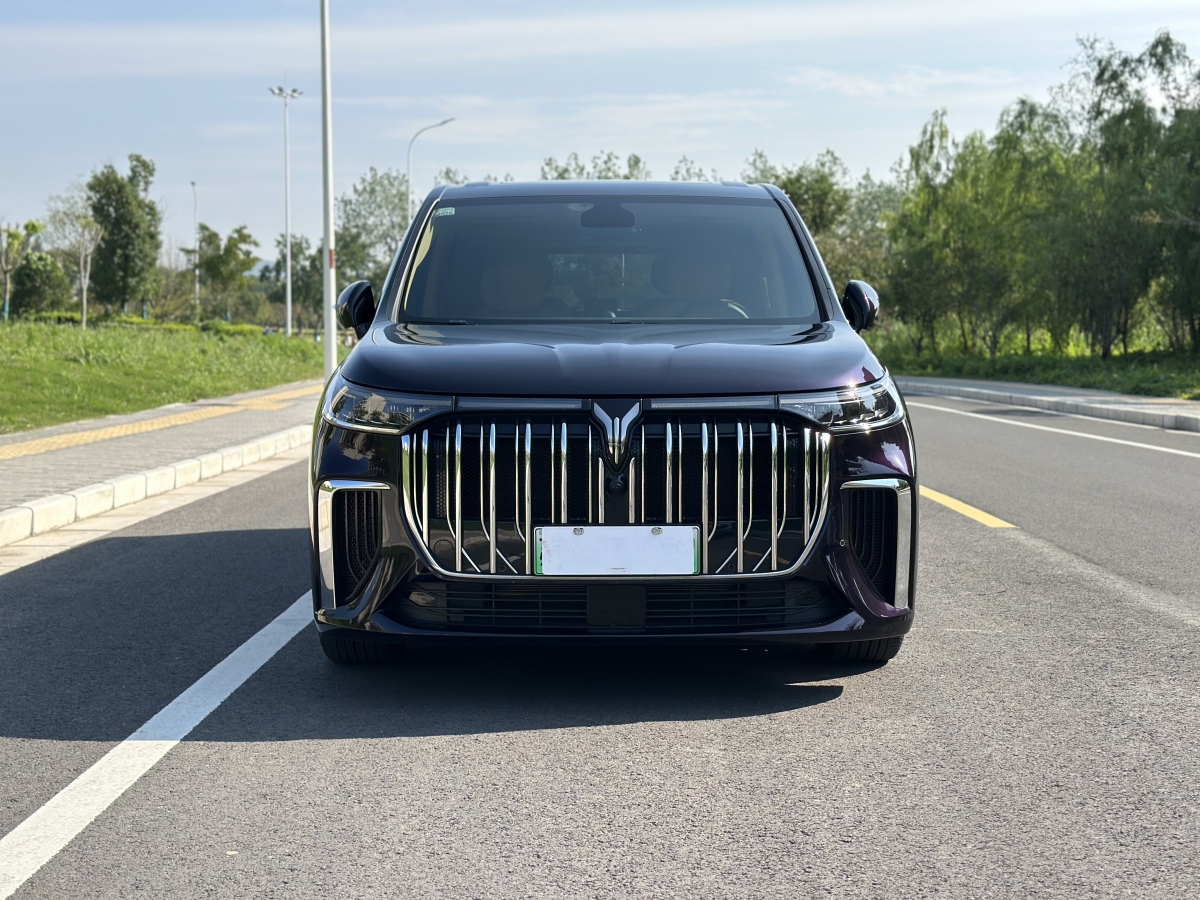 嵐圖 夢想家  2024款 PHEV 超長續(xù)航卓越版圖片