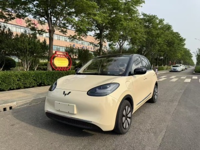 2025年5月 五菱 五菱繽果 333km 悅享款圖片