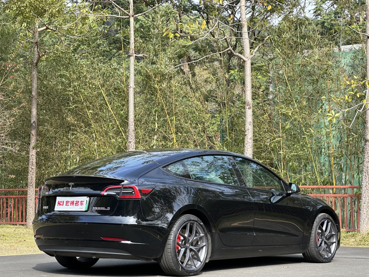 特斯拉 Model 3  2019款 Performance高性能全輪驅(qū)動版圖片