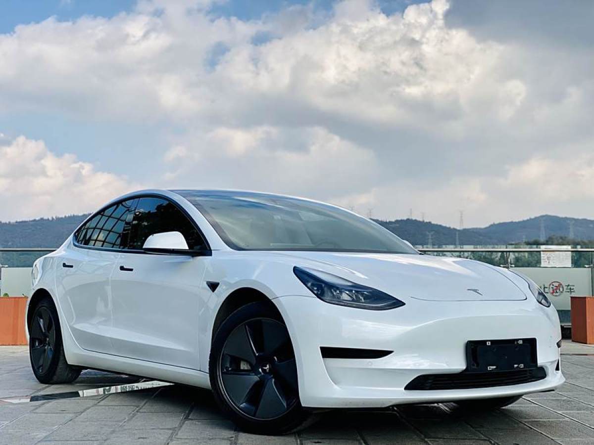 特斯拉 Model 3  2021款 改款 標(biāo)準(zhǔn)續(xù)航后驅(qū)升級版圖片