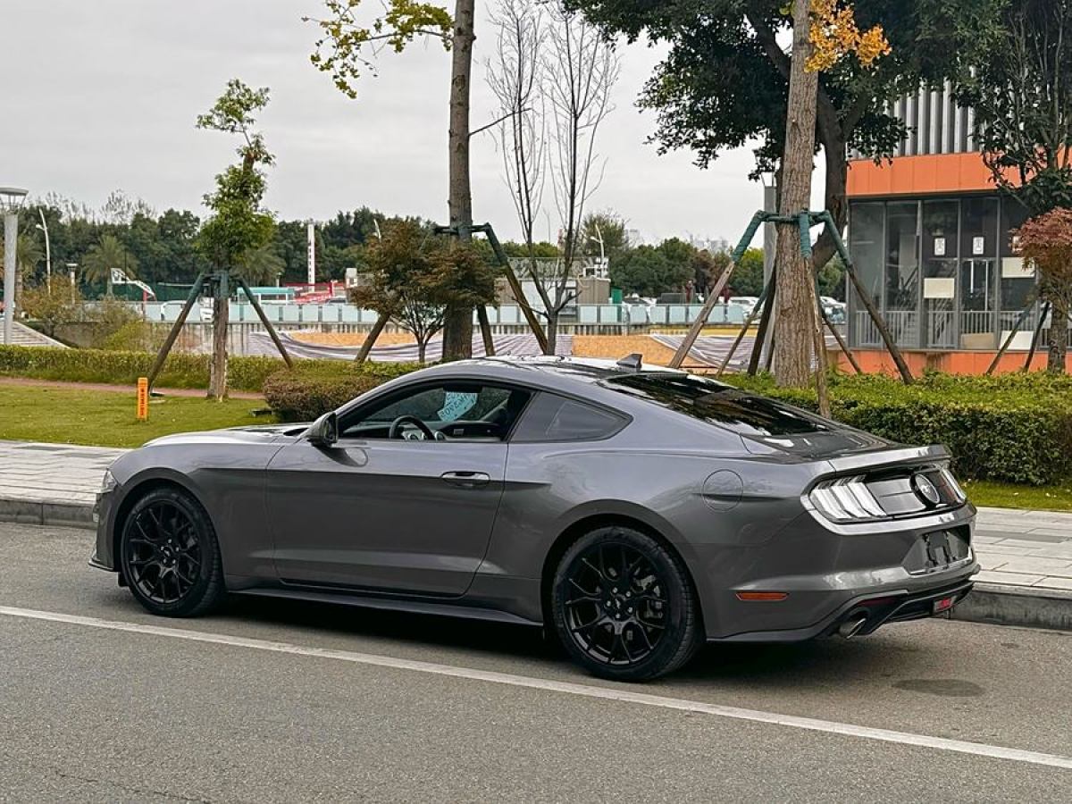 福特 Mustang  2021款 2.3L EcoBoost圖片