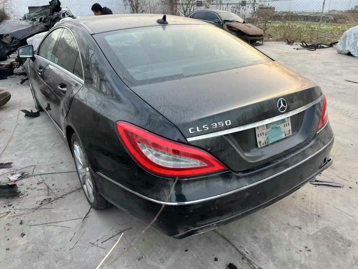 奔馳 奔馳CLS級(jí)  2012款 CLS 300 CGI圖片