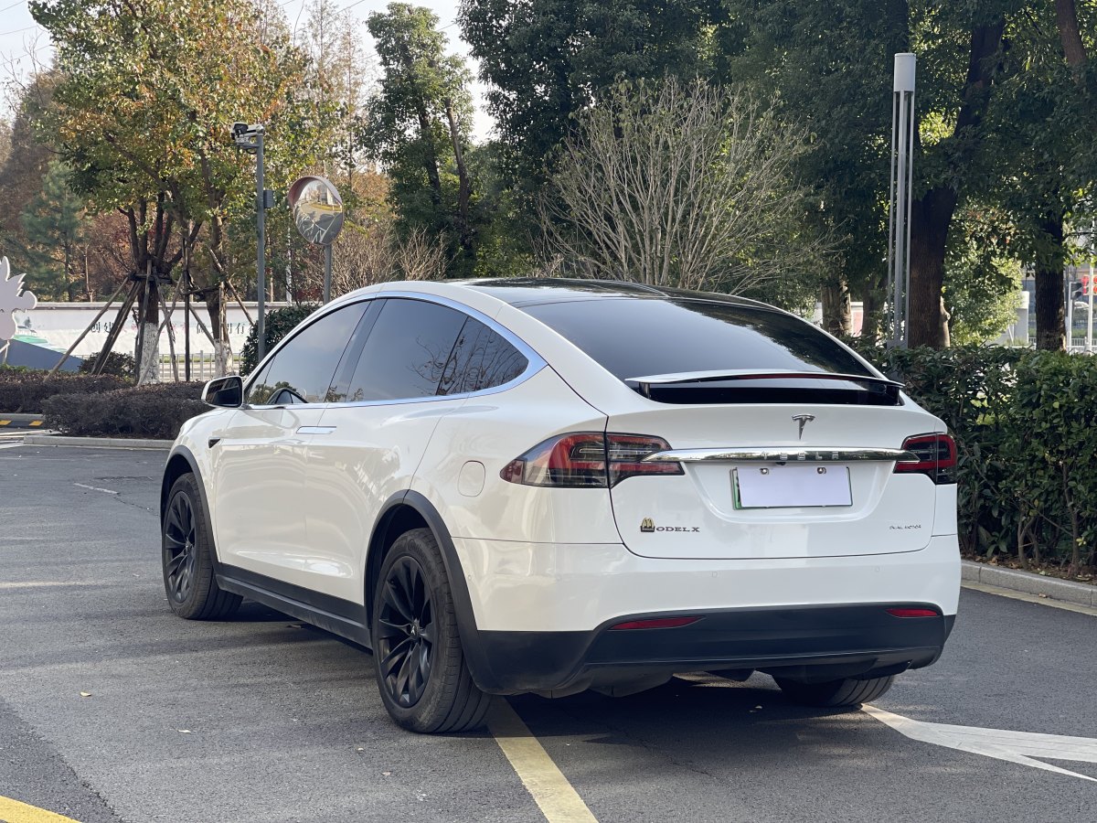 特斯拉 Model X  2019款 標(biāo)準(zhǔn)續(xù)航版圖片