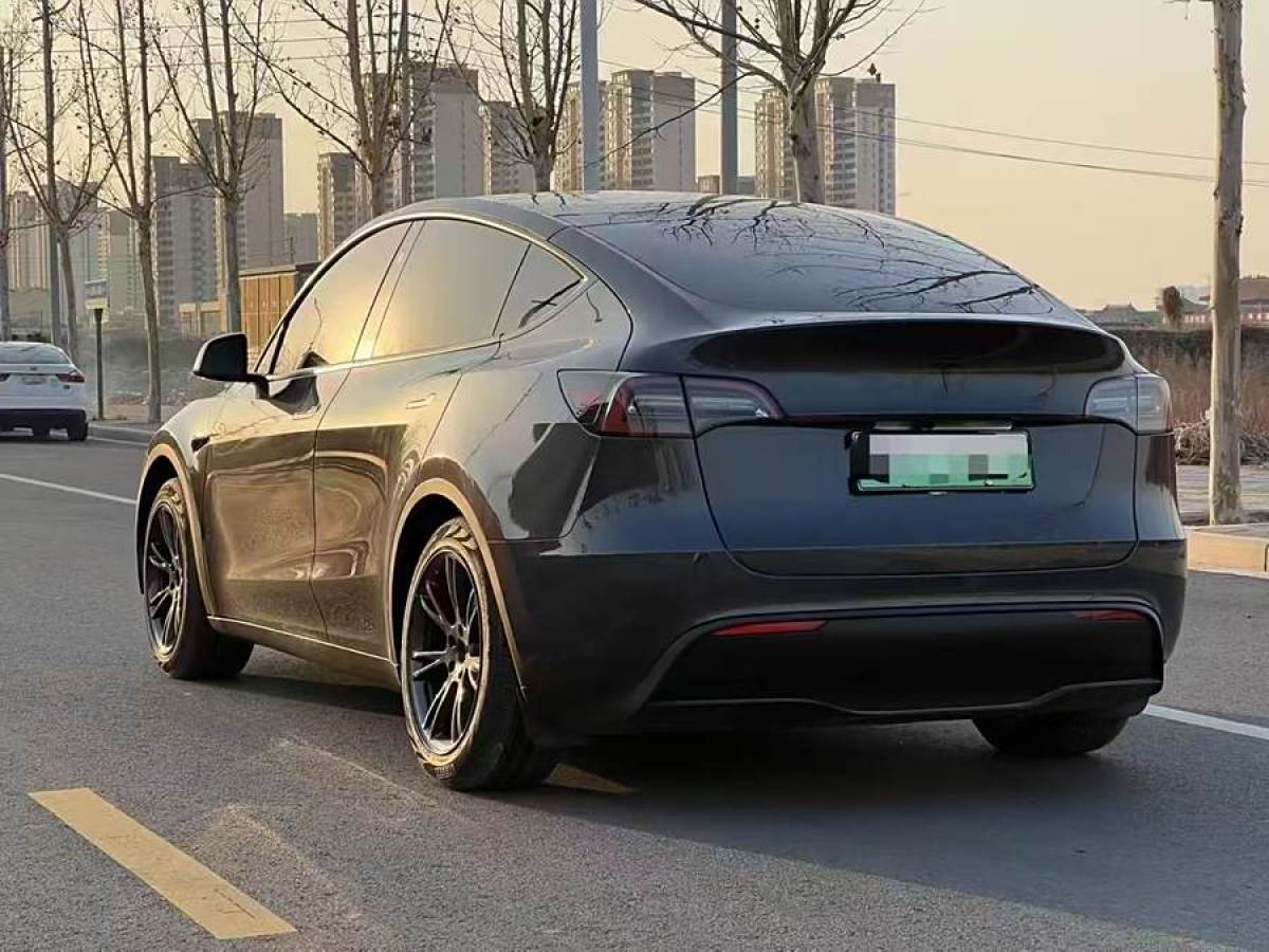 特斯拉 Model 3  2020款 改款 長續(xù)航后輪驅(qū)動版圖片