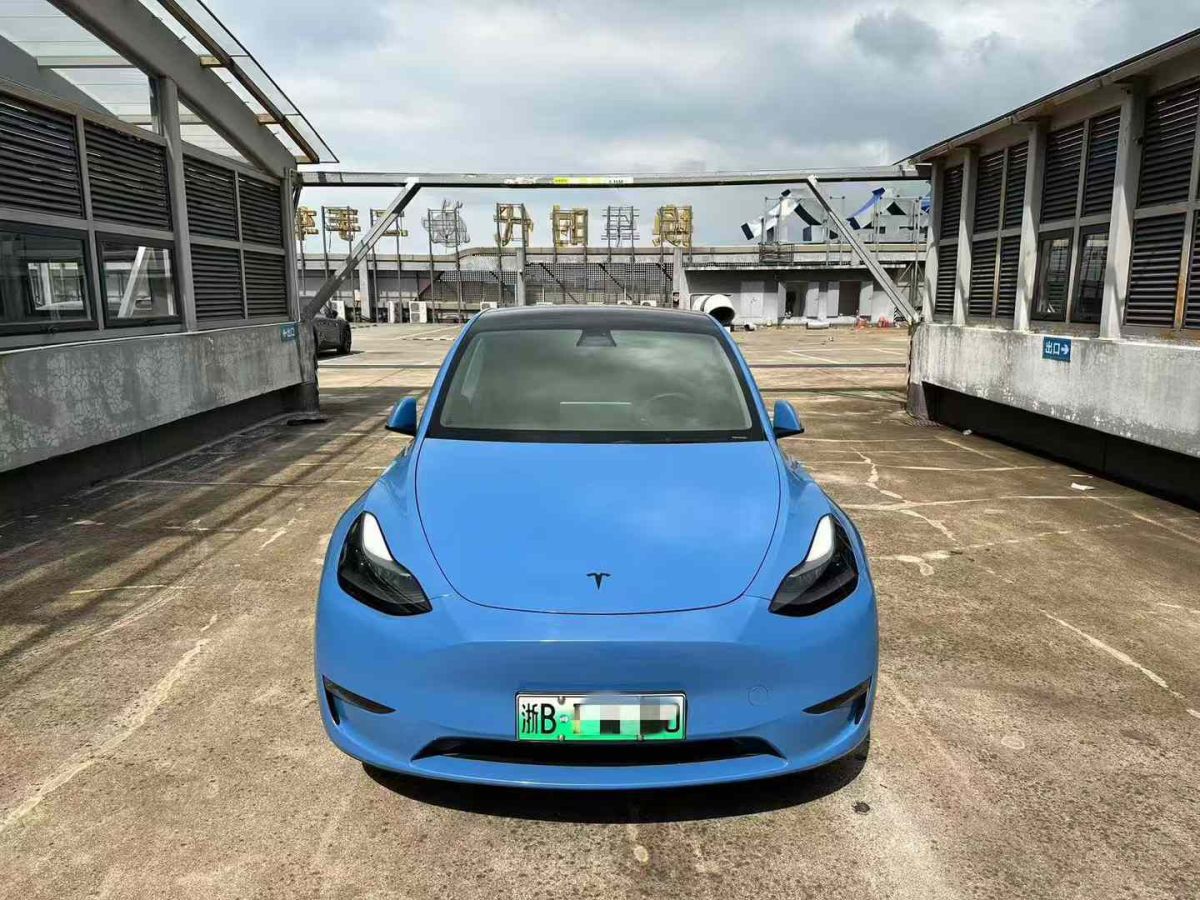 特斯拉 Model 3  2022款 Performance高性能全輪驅(qū)動(dòng)版圖片