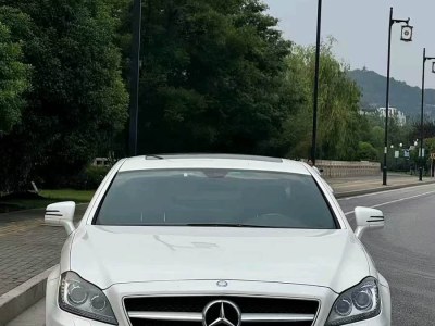 2014年9月 奔馳 奔馳CLS級(jí)(進(jìn)口) CLS 300 CGI圖片