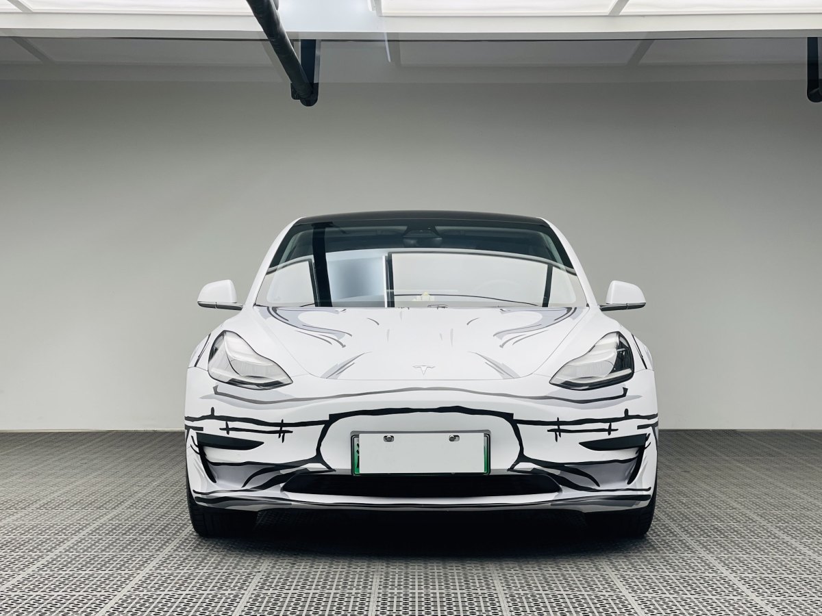 特斯拉 Model 3  2019款 標(biāo)準(zhǔn)續(xù)航后驅(qū)升級版圖片