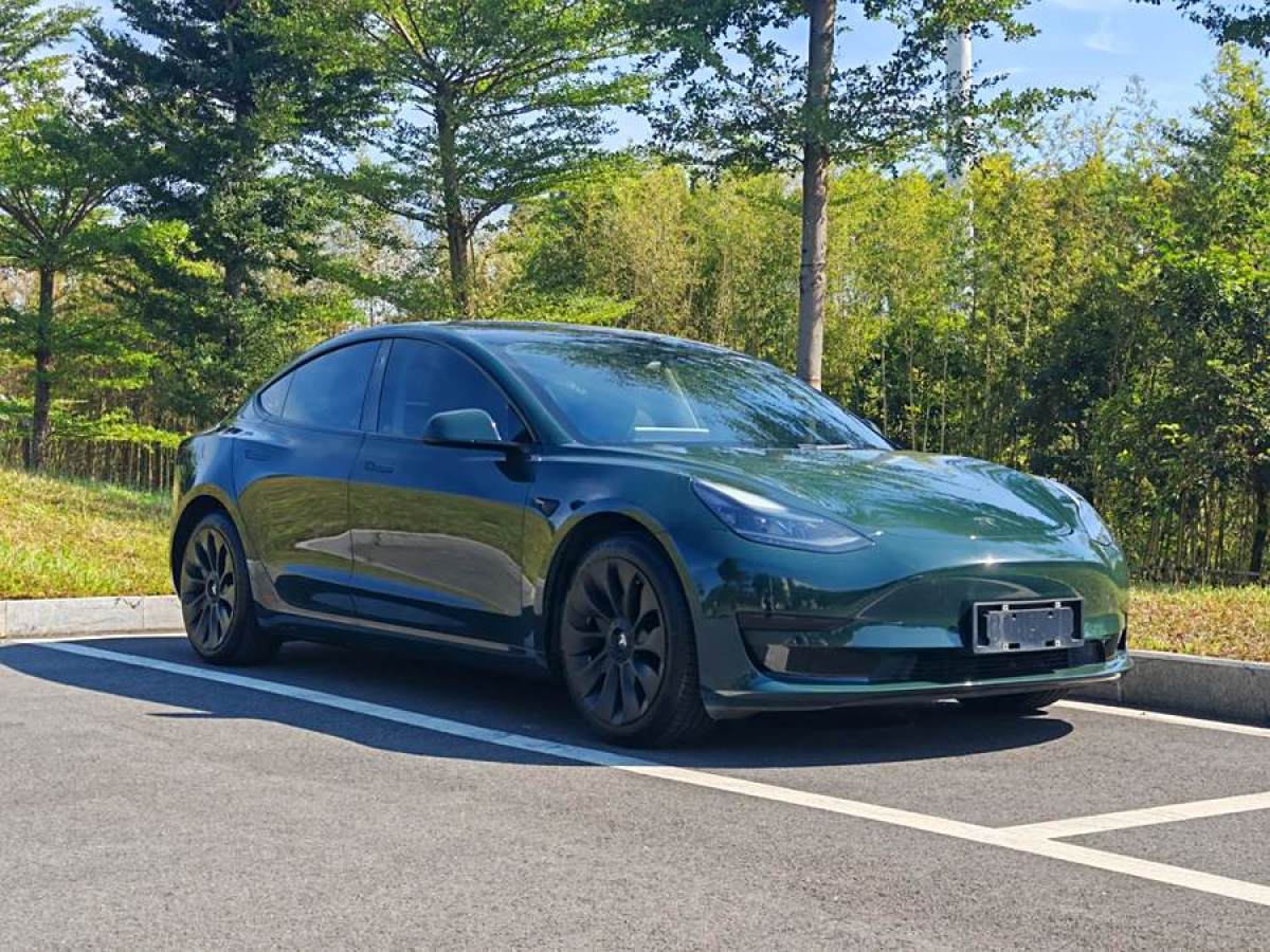 特斯拉 Model 3  2019款 標準續(xù)航后驅(qū)升級版圖片