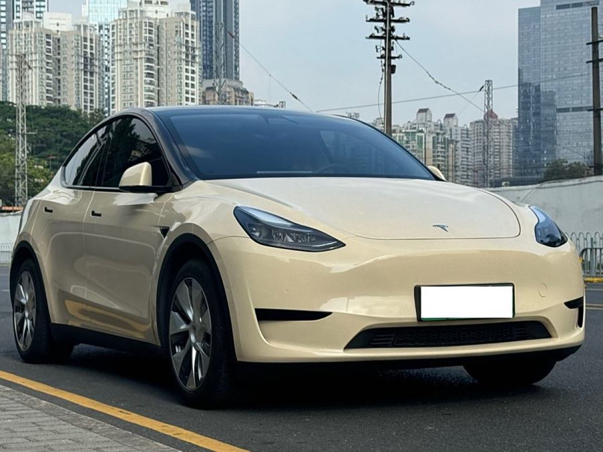 特斯拉 Model 3  2022款 后輪驅(qū)動版圖片