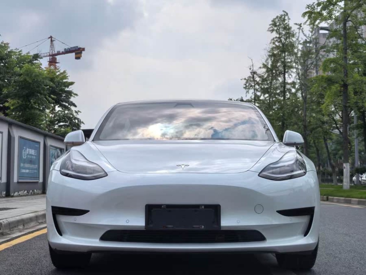 特斯拉 Model 3  2020款 改款 標(biāo)準(zhǔn)續(xù)航后驅(qū)升級版圖片