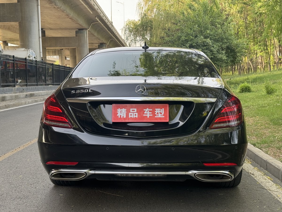 奔馳 奔馳S級  2019款 S 350 L 豪華型 臻藏版圖片