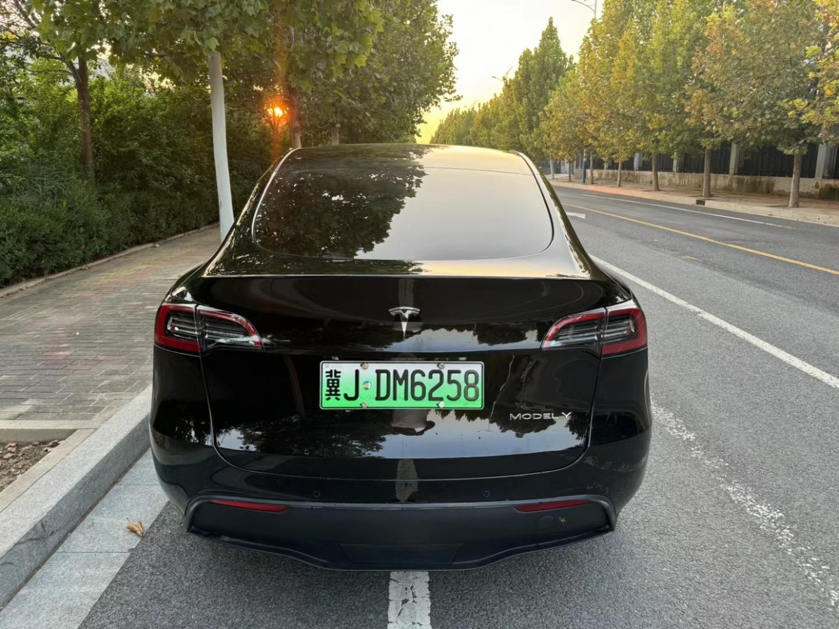 特斯拉 Model 3  2022款 后驅(qū)版圖片