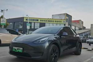 Model Y 特斯拉 Performance高性能版