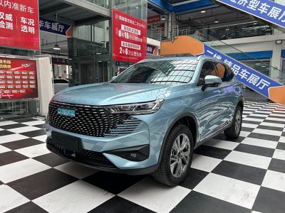 2023年10月 哈弗 哈弗H6新能源 DHT-PHEV 110KM 悅行版圖片