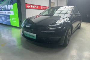 Model 3 特斯拉 标准续航后驱升级版