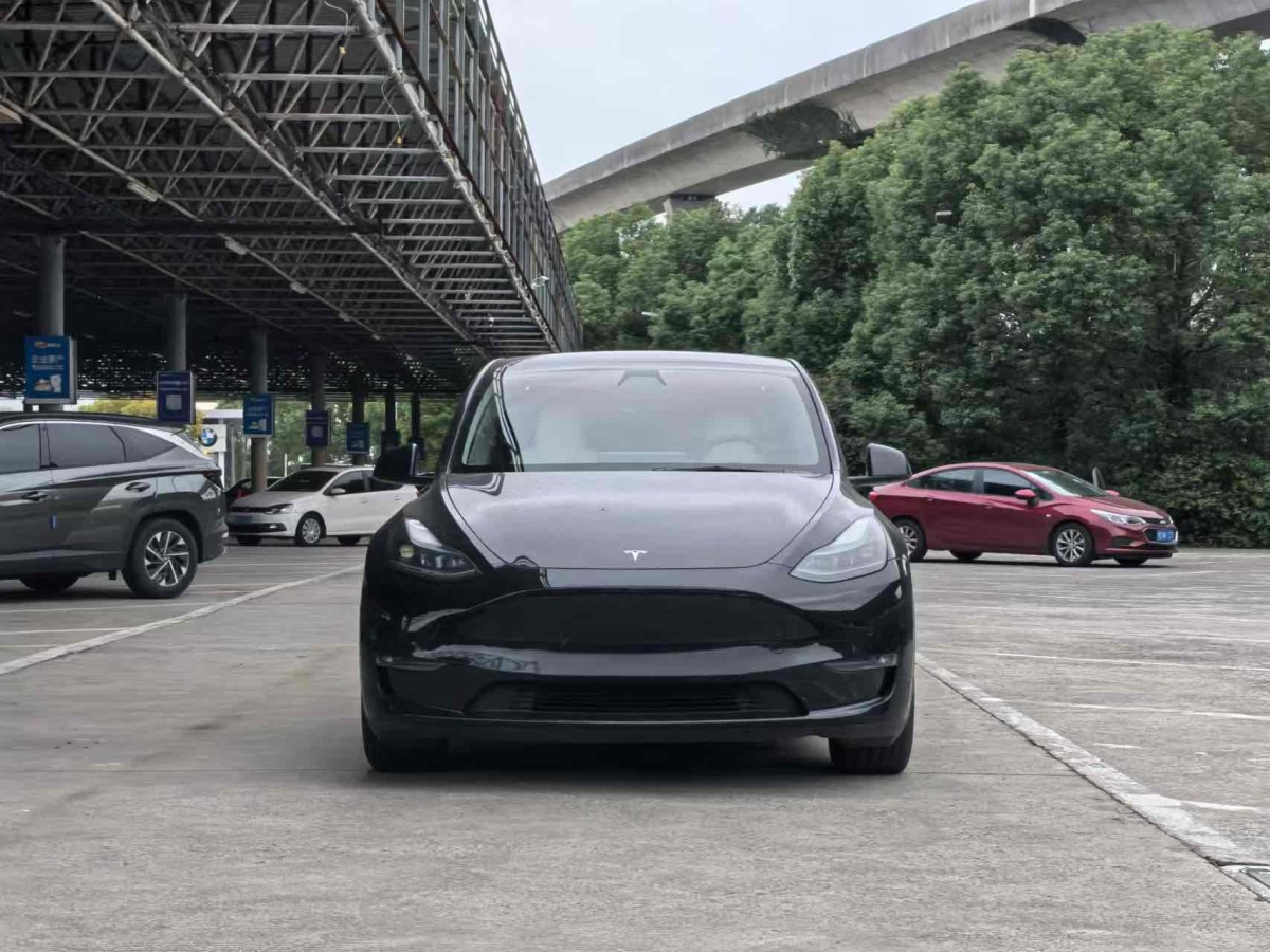 特斯拉 Model Y  2022款 Performance高性能全輪驅(qū)動(dòng)版圖片