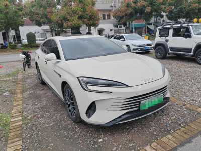 2024年9月 比亚迪 海豹 DM-i 1.5L 121km 尊贵型图片