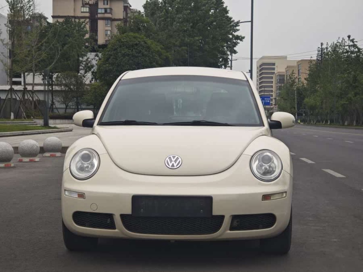 大眾 甲殼蟲  2010款 1.6 AT圖片