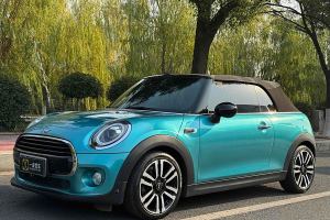 MINI MINI 1.5T COOPER CABRIO 藝術(shù)家