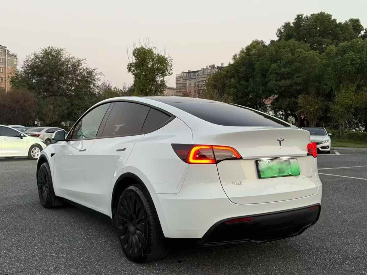 特斯拉 Model S  2023款 三電機(jī)全輪驅(qū)動(dòng) Plaid版圖片