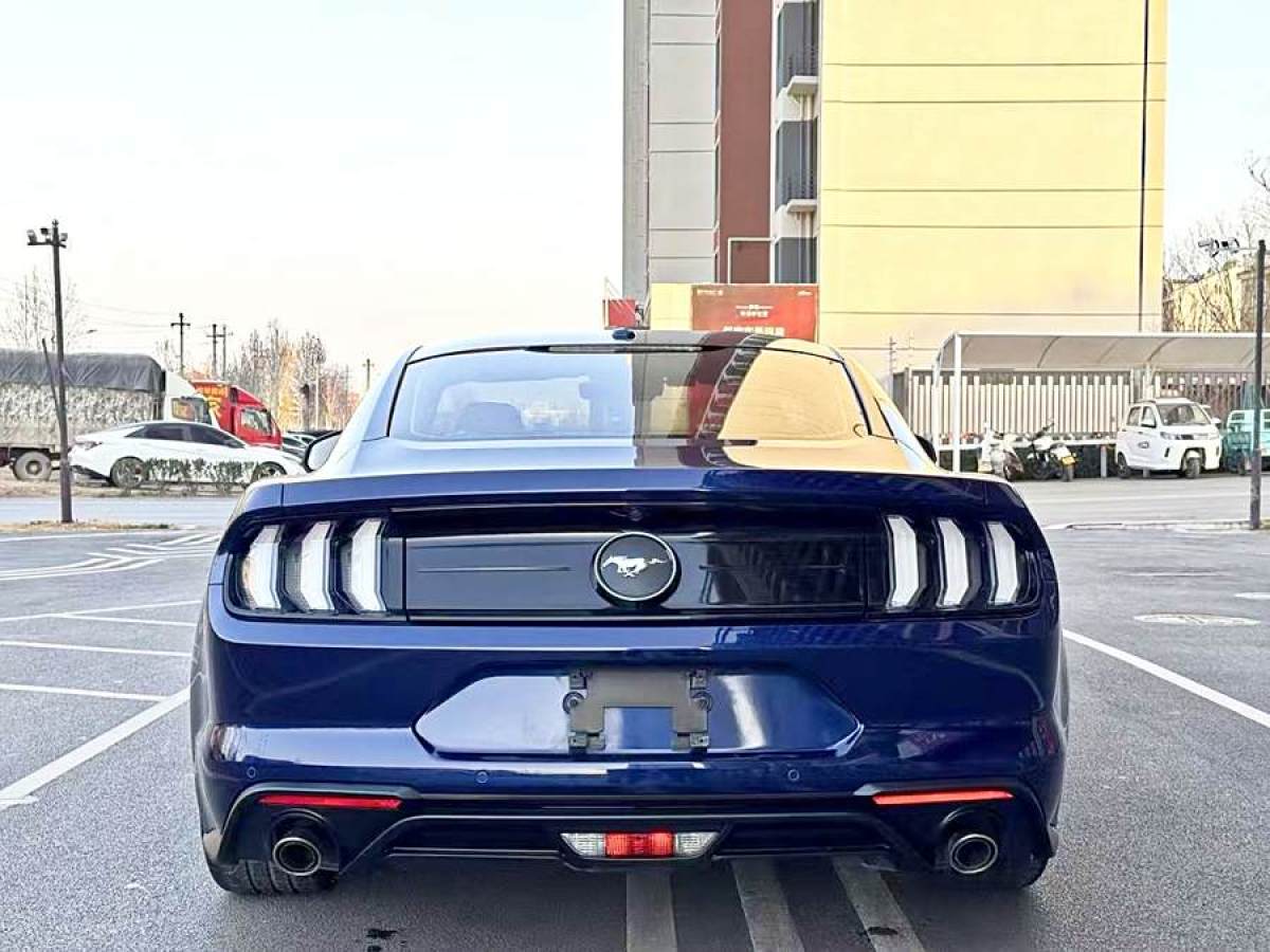 福特 Mustang  2019款 2.3L EcoBoost圖片