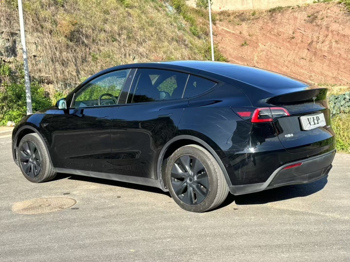 特斯拉 Model Y  2023款 后輪驅(qū)動版圖片