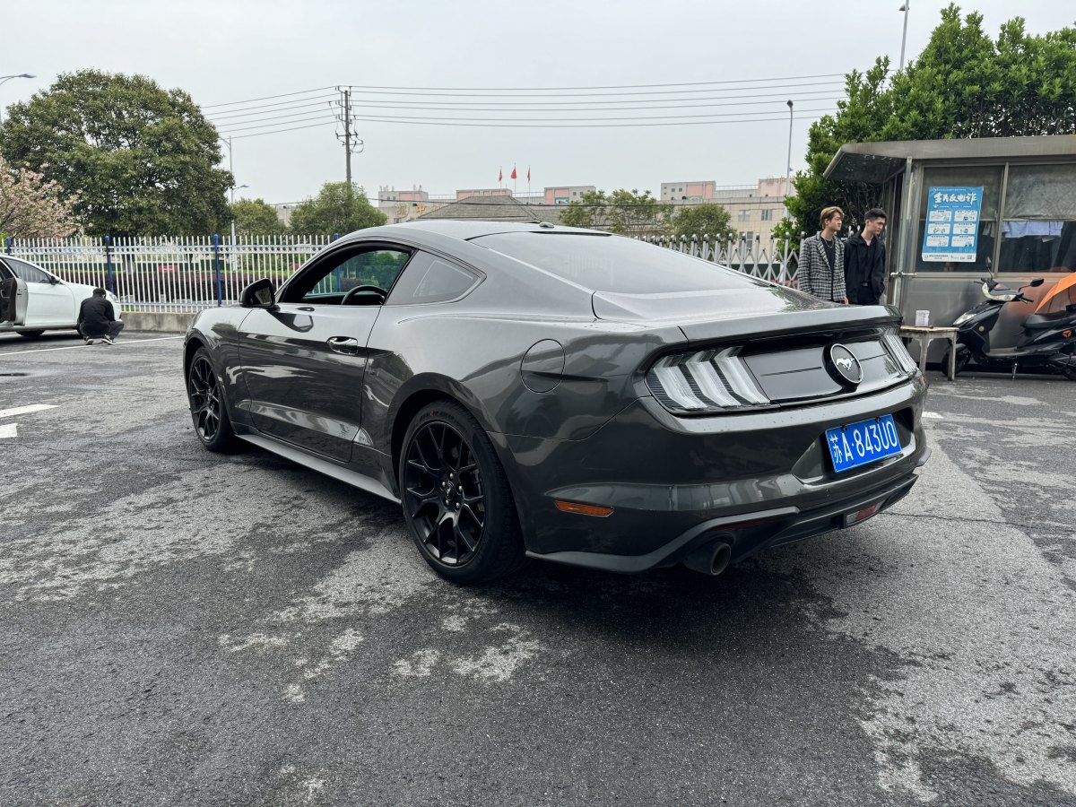 2019年5月福特 Mustang  2019款 2.3L EcoBoost 性能加强版