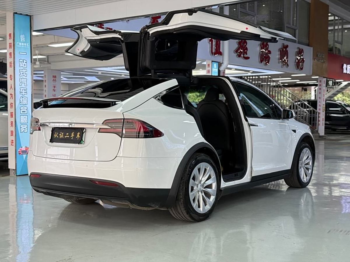 特斯拉 Model X  2019款 長續(xù)航版圖片