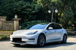 Model S 特斯拉 Plaid Plus 版