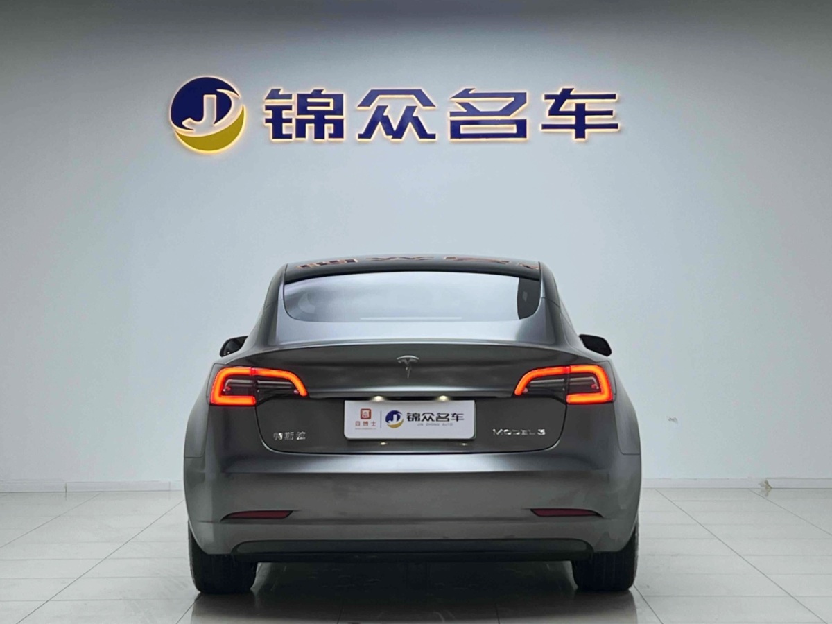 特斯拉 Model 3  2019款 Performance高性能全轮驱动版图片