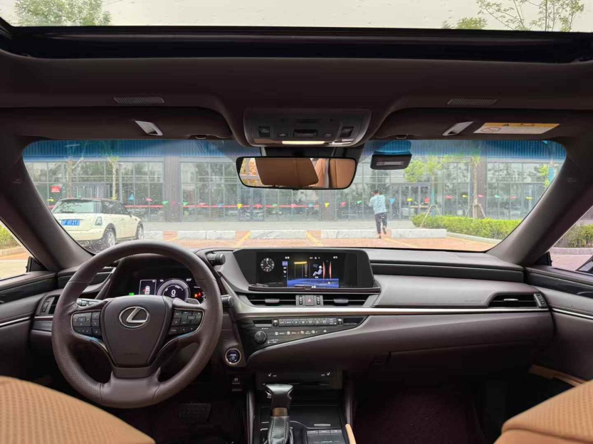 雷克薩斯 雷克薩斯UX新能源  2020款 300e 純?享版圖片