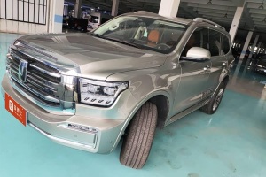 坦克500 坦克 3.0T 運動版 造境型 5座