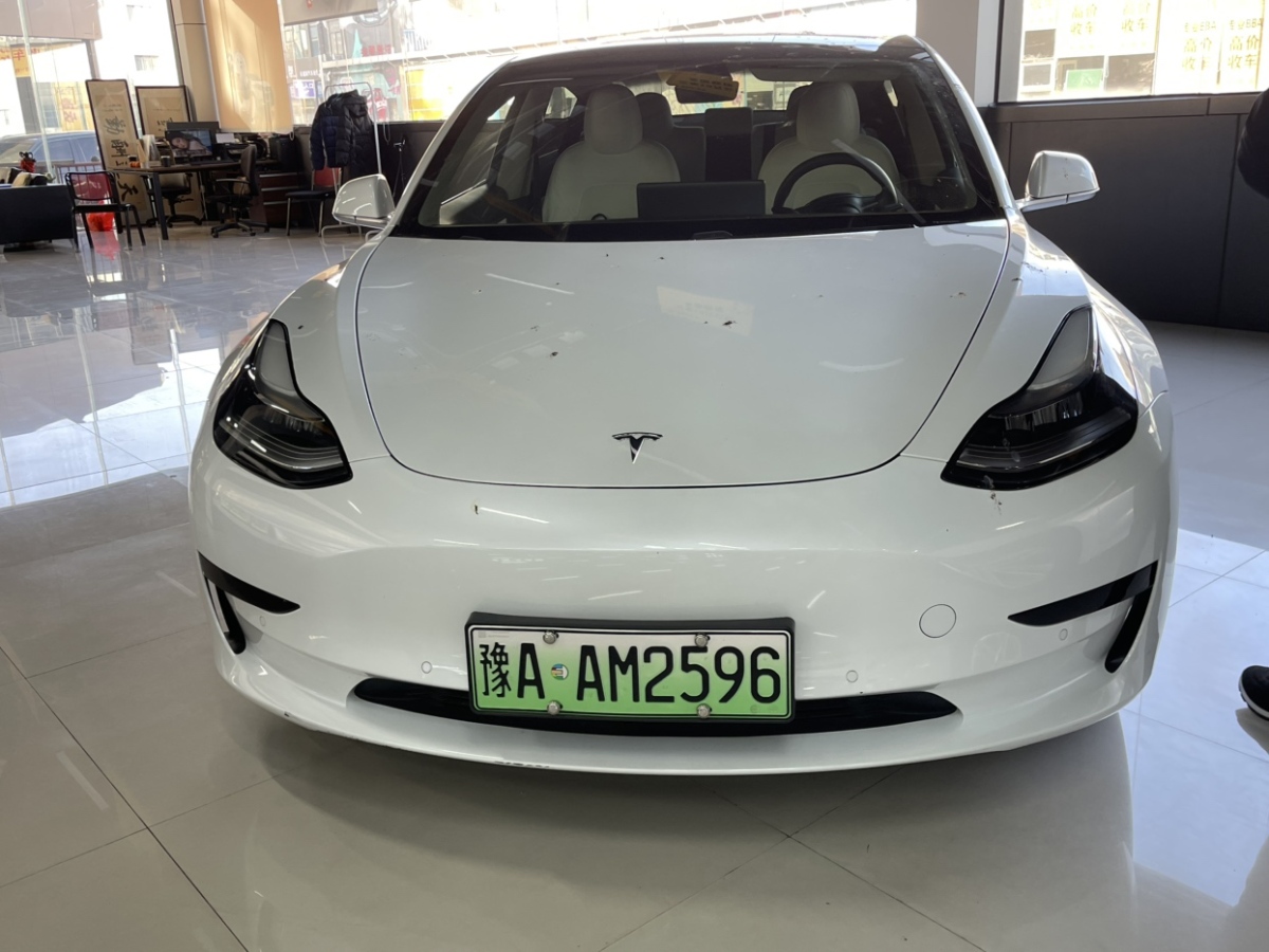 特斯拉 Model 3  2020款 標(biāo)準(zhǔn)續(xù)航后驅(qū)升級(jí)版圖片