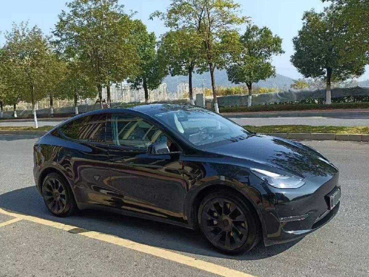 特斯拉 Model S  2021款 Plaid Plus 版圖片