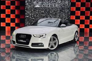 奥迪S5 奥迪 S5 3.0T Cabriolet