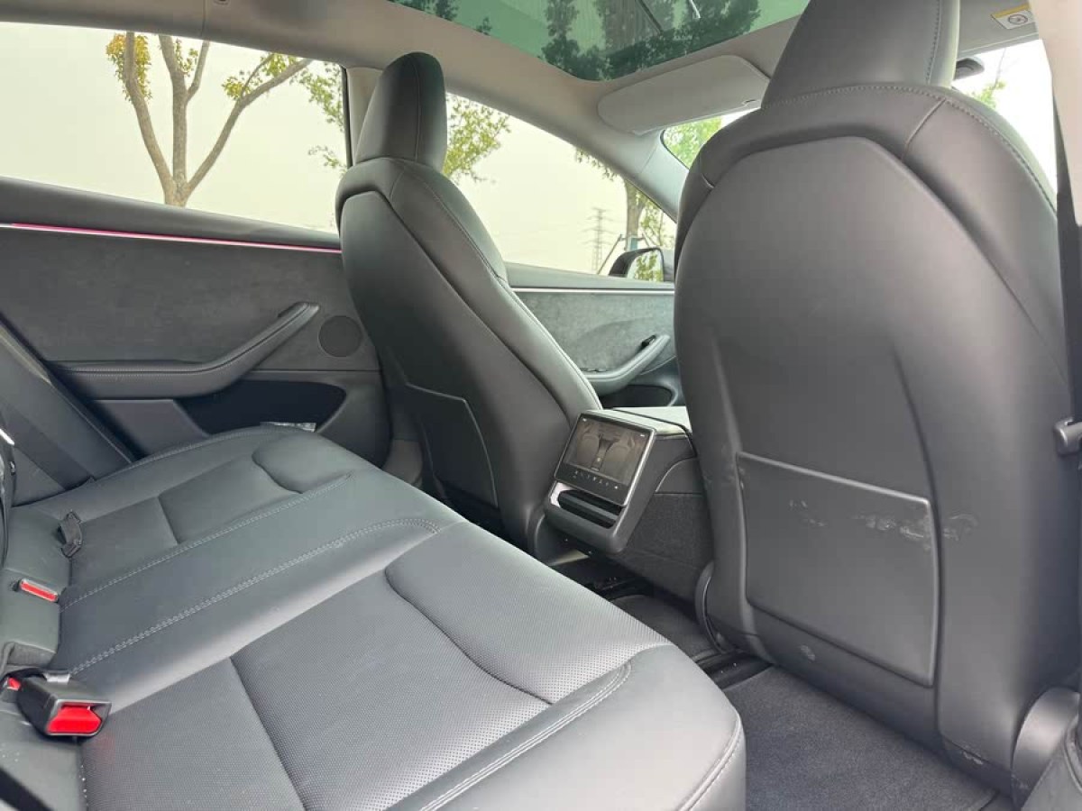 特斯拉 Model 3  2019款 長(zhǎng)續(xù)航全輪驅(qū)動(dòng)版圖片