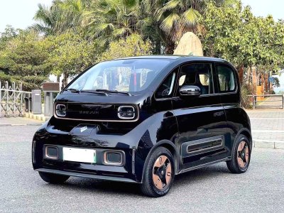 2021年8月 寶駿 寶駿KiWi EV 藝術(shù)家 三元鋰圖片