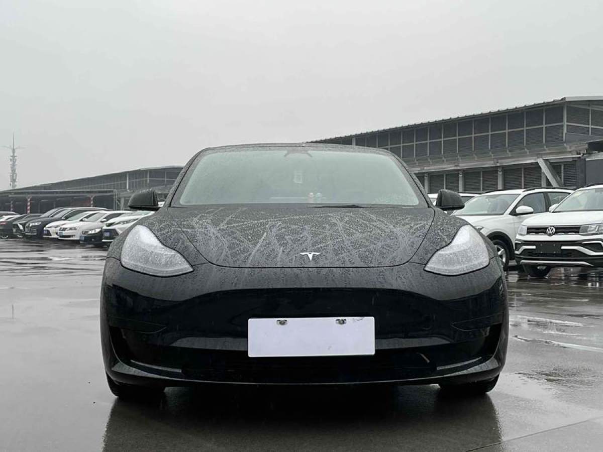 2022年4月特斯拉 Model 3  2022款 改款 后輪驅(qū)動(dòng)版