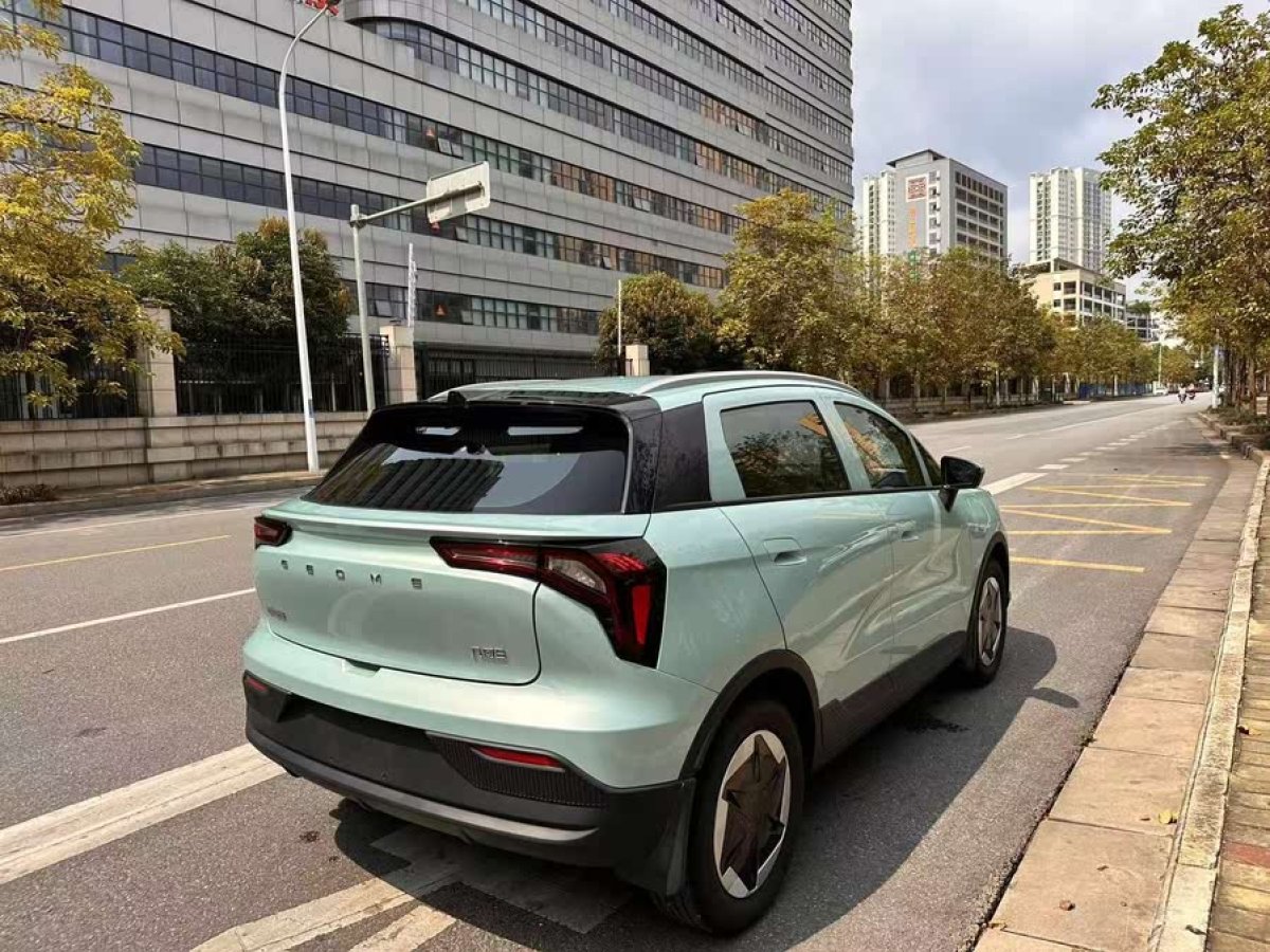 幾何 幾何E  2024款 301KM 流光圖片