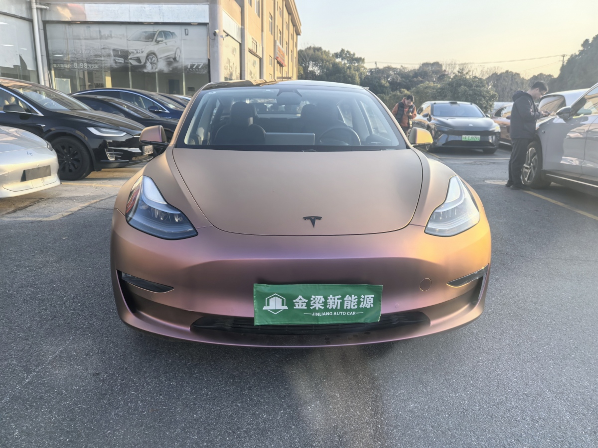 特斯拉 Model 3  2020款 改款 長(zhǎng)續(xù)航后輪驅(qū)動(dòng)版圖片