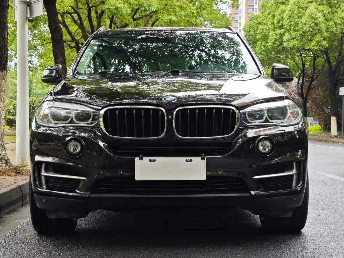 寶馬 寶馬X5新能源  2016款 xDrive40e圖片