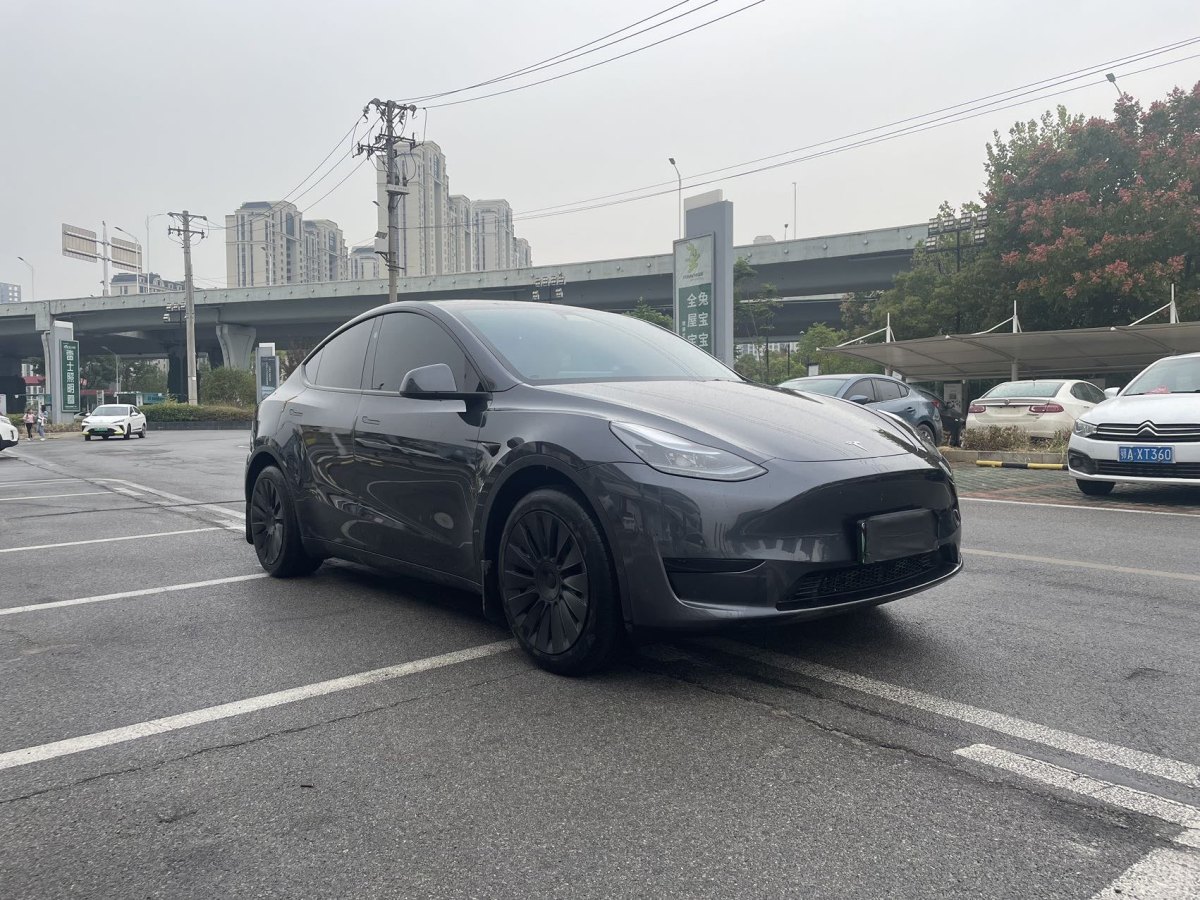 特斯拉 Model Y  2020款 改款 長續(xù)航后輪驅(qū)動版圖片