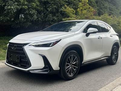 2024年2月 雷克萨斯 NX 260 前驱 创驰版图片