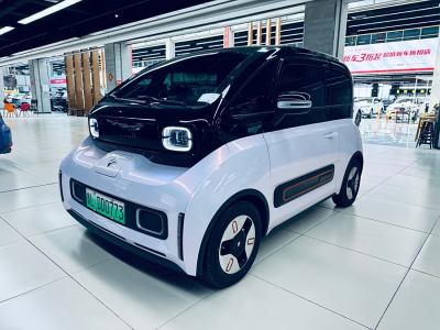 2024年4月 寶駿 寶駿KiWi EV 藝術(shù)家輕享版 三元鋰圖片