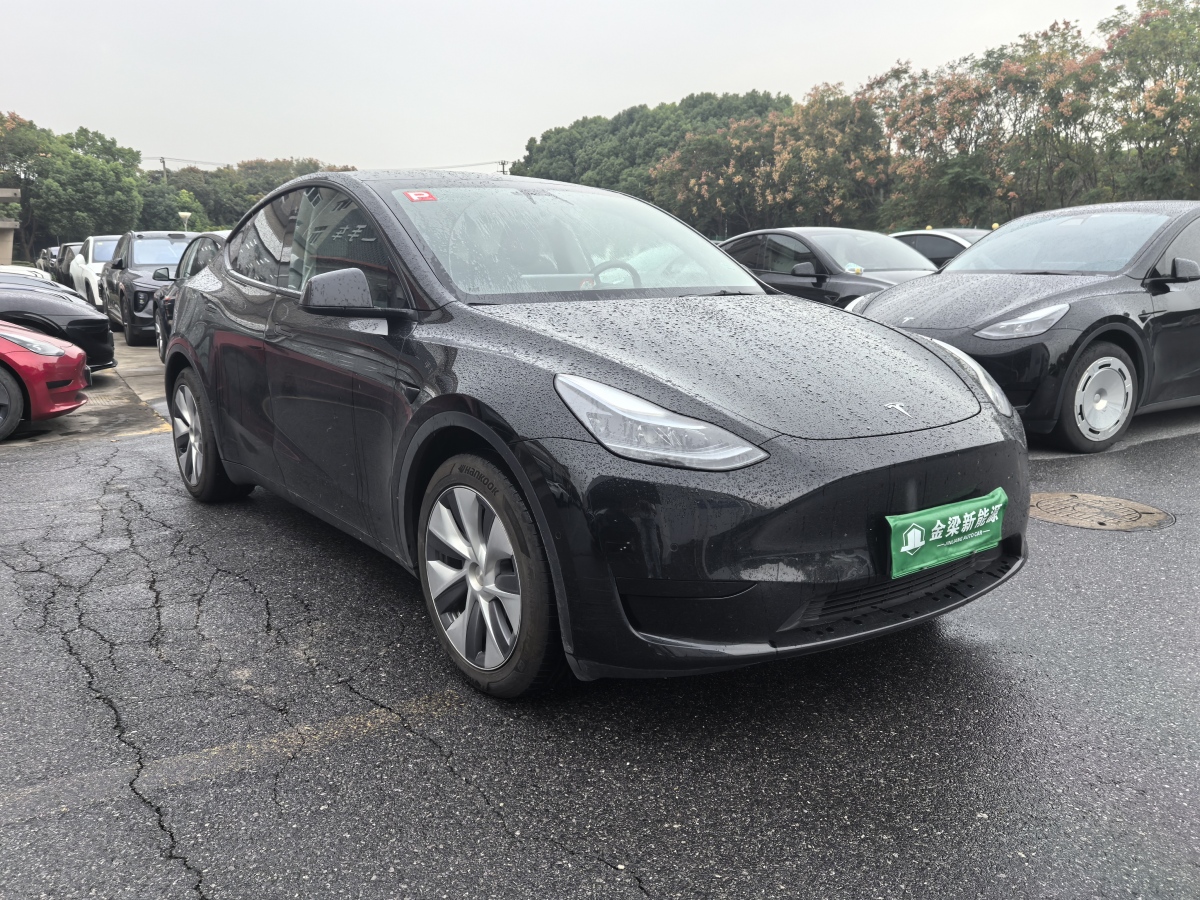 2022年11月特斯拉 Model Y  2020款 改款 長續(xù)航后輪驅(qū)動版