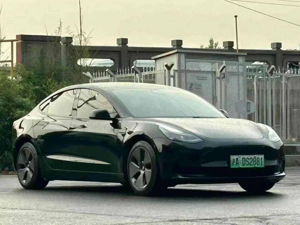 特斯拉 Model S  2021款 Performance 高性能版圖片