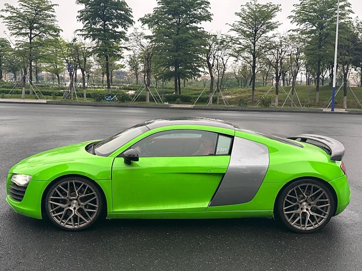 奧迪 奧迪R8  2007款 4.2 FSI quattro圖片