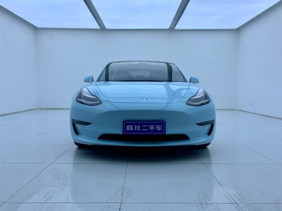 特斯拉 Model 3  2020款 改款 長續(xù)航后輪驅動版圖片